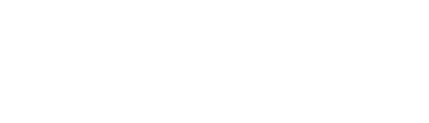 serdaneli-logo